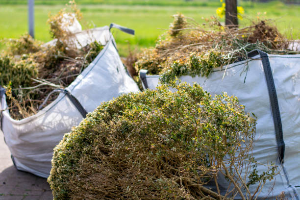 Best Office Junk Removal  in Wolfdale, PA